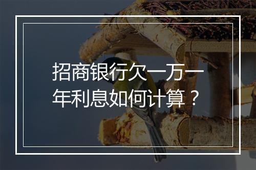 招商银行欠一万一年利息如何计算？