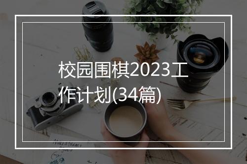 校园围棋2023工作计划(34篇)