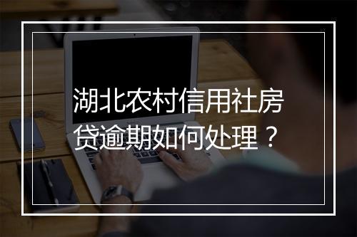 湖北农村信用社房贷逾期如何处理？