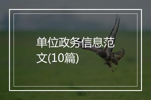 单位政务信息范文(10篇)