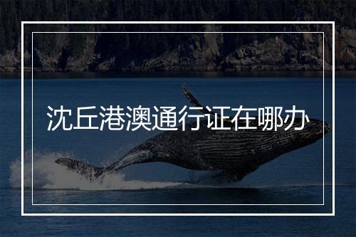 沈丘港澳通行证在哪办