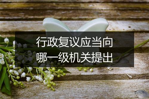 行政复议应当向哪一级机关提出