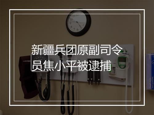 新疆兵团原副司令员焦小平被逮捕