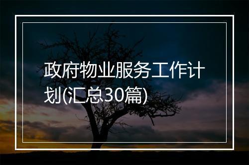 政府物业服务工作计划(汇总30篇)