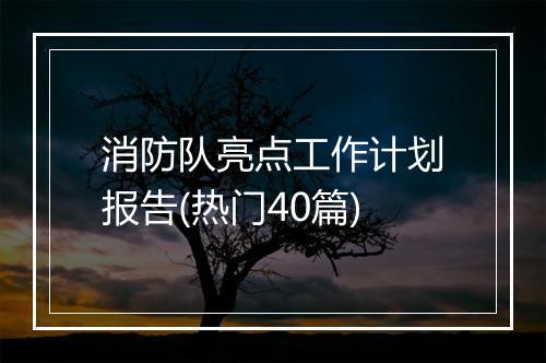 消防队亮点工作计划报告(热门40篇)