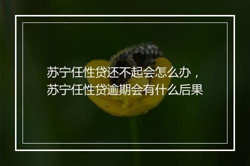 苏宁任性贷还不起会怎么办，苏宁任性贷逾期会有什么后果
