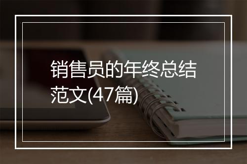销售员的年终总结范文(47篇)