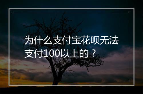 为什么支付宝花呗无法支付100以上的？