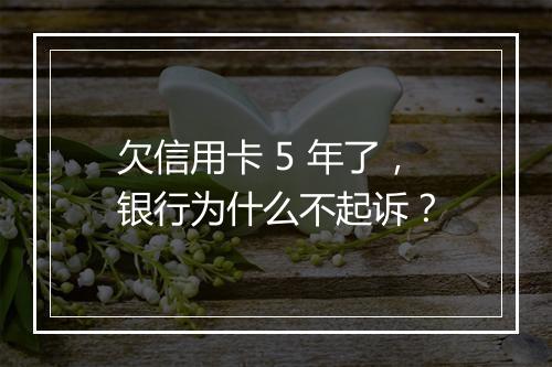 欠信用卡 5 年了，银行为什么不起诉？
