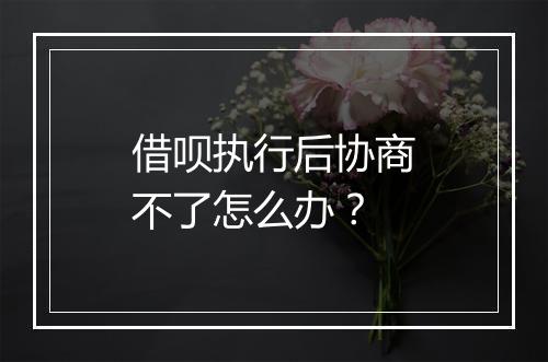 借呗执行后协商不了怎么办？