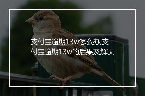支付宝逾期13w怎么办,支付宝逾期13w的后果及解决
