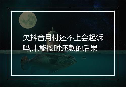 欠抖音月付还不上会起诉吗,未能按时还款的后果
