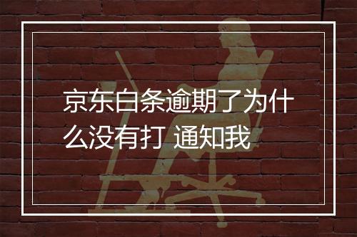 京东白条逾期了为什么没有打 通知我