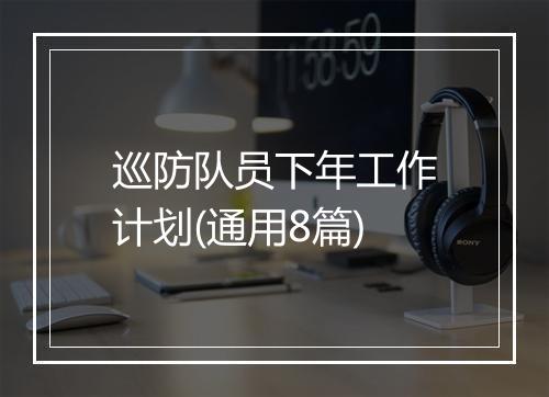 巡防队员下年工作计划(通用8篇)