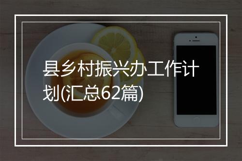 县乡村振兴办工作计划(汇总62篇)