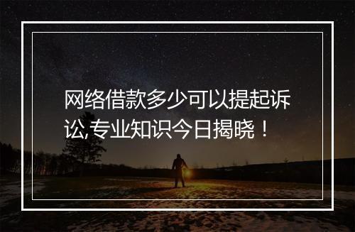 网络借款多少可以提起诉讼,专业知识今日揭晓！