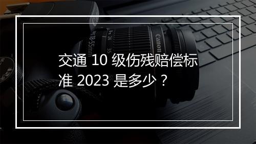 交通 10 级伤残赔偿标准 2023 是多少？