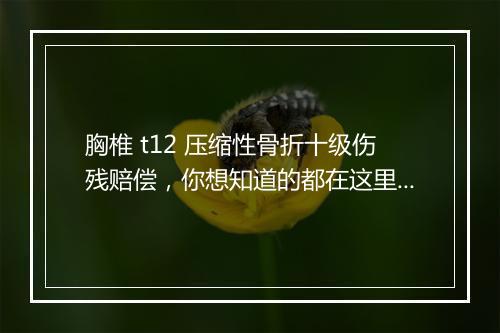 胸椎 t12 压缩性骨折十级伤残赔偿，你想知道的都在这里！