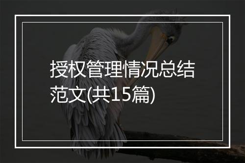 授权管理情况总结范文(共15篇)