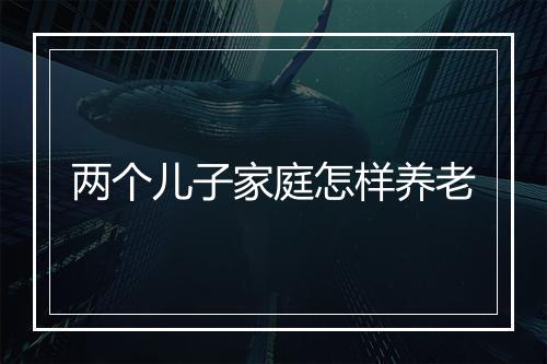 两个儿子家庭怎样养老