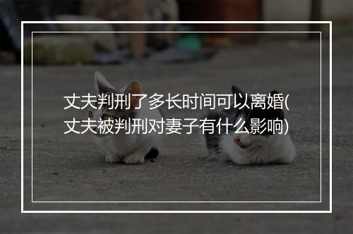 丈夫判刑了多长时间可以离婚(丈夫被判刑对妻子有什么影响)