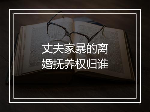 丈夫家暴的离婚抚养权归谁
