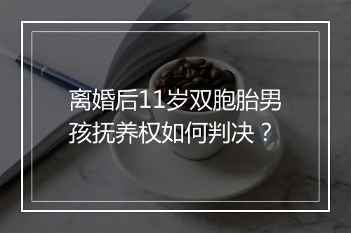 离婚后11岁双胞胎男孩抚养权如何判决？