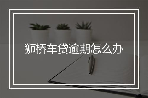狮桥车贷逾期怎么办