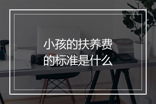 小孩的扶养费的标准是什么