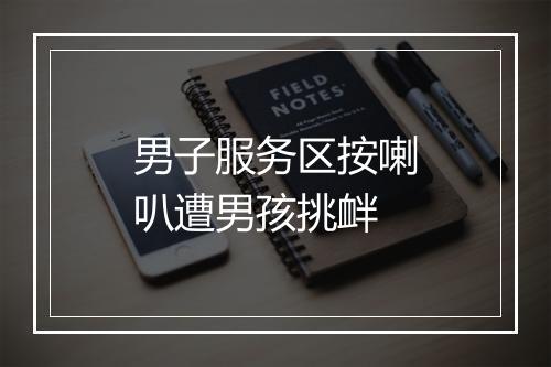男子服务区按喇叭遭男孩挑衅