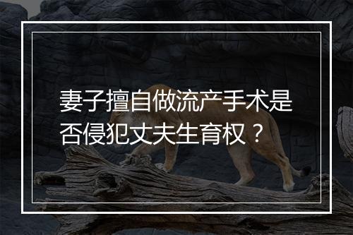 妻子擅自做流产手术是否侵犯丈夫生育权？