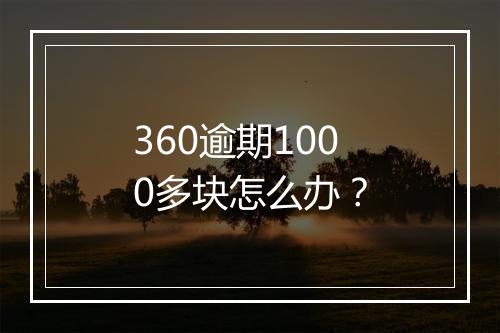 360逾期1000多块怎么办？
