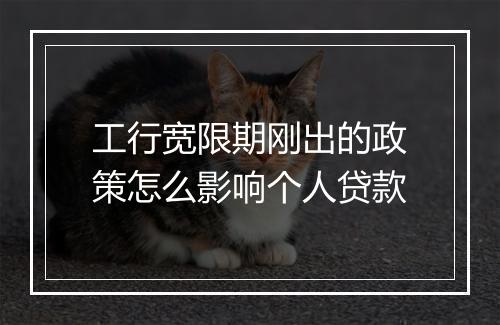 工行宽限期刚出的政策怎么影响个人贷款
