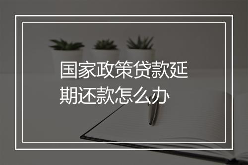 国家政策贷款延期还款怎么办