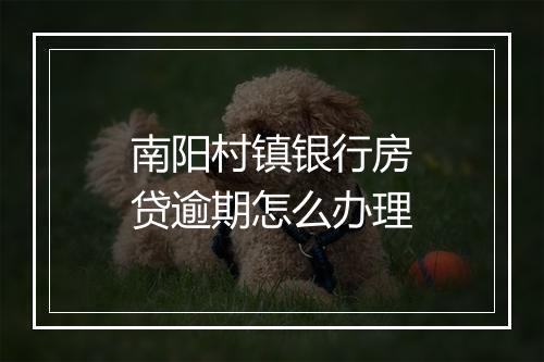 南阳村镇银行房贷逾期怎么办理