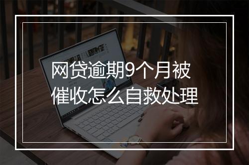 网贷逾期9个月被催收怎么自救处理