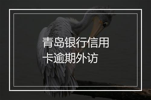 青岛银行信用卡逾期外访
