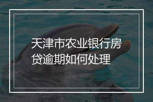 天津市农业银行房贷逾期如何处理