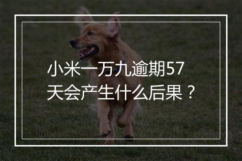 小米一万九逾期57天会产生什么后果？