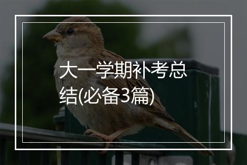 大一学期补考总结(必备3篇)