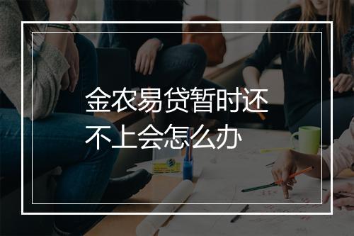 金农易贷暂时还不上会怎么办
