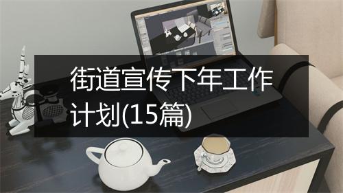 街道宣传下年工作计划(15篇)