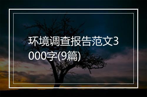 环境调查报告范文3000字(9篇)