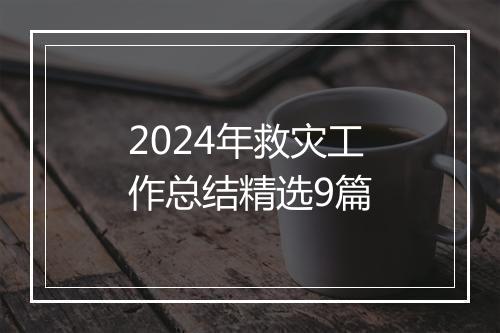 2024年救灾工作总结精选9篇
