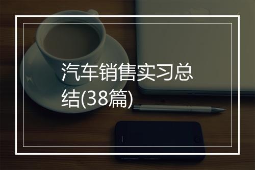 汽车销售实习总结(38篇)