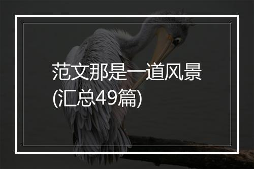 范文那是一道风景(汇总49篇)