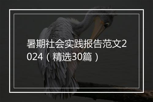 暑期社会实践报告范文2024（精选30篇）