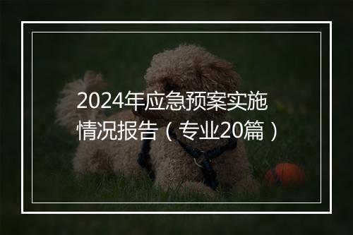 2024年应急预案实施情况报告（专业20篇）