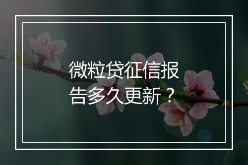 微粒贷征信报告多久更新？