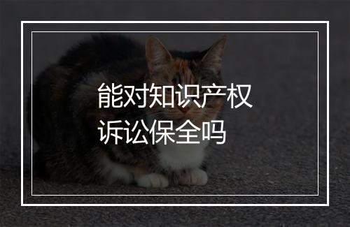 能对知识产权诉讼保全吗